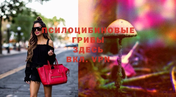 МДПВ Бутурлиновка
