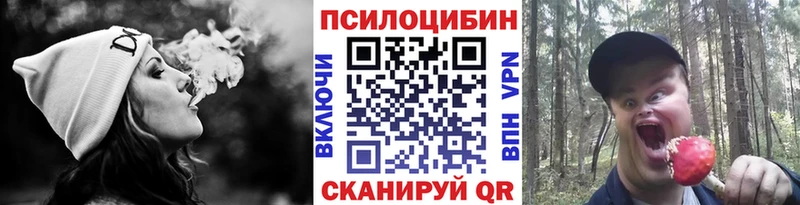 Псилоцибиновые грибы Psilocybine cubensis  МЕГА маркетплейс  Грайворон 