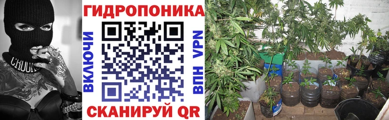 mega ТОР  даркнет сайт  Грайворон  Бошки Шишки MAZAR 