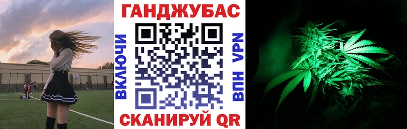 Канабис SATIVA & INDICA Грайворон